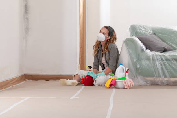 Reliable Mold Remediation contractor in Clayton, NJ by Cheap Mold Removal